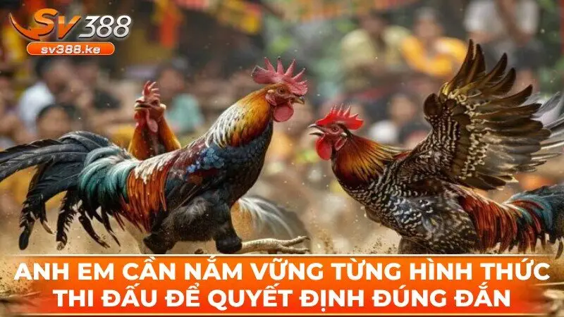 Anh em cần nắm vững từng hình thức thi đấu để quyết định đúng đắn