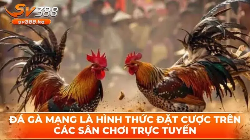 Đá gà mạng là hình thức đặt cược trên các sân chơi trực tuyến