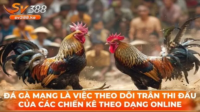 Đá gà mạng là việc theo dõi trận thi đấu của các chiến kê theo dạng online