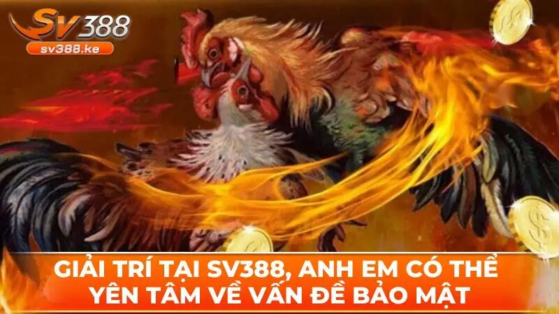 Giải trí tại SV388, anh em có thể yên tâm về vấn đề bảo mật