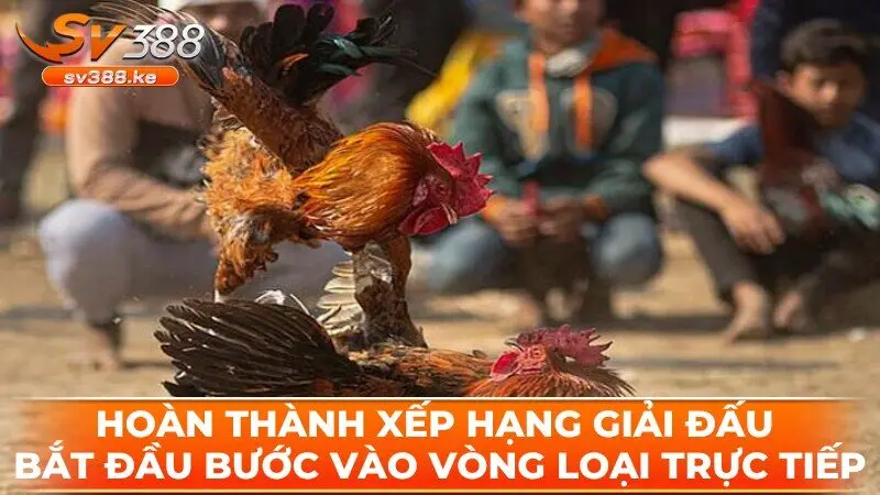 Hoàn thành xếp hạng giải đấu bắt đầu bước vào vòng loại trực tiếp