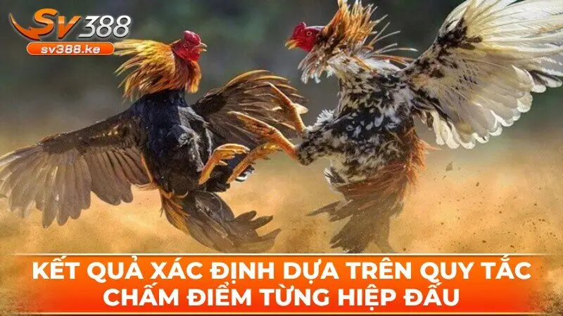 Kết quả xác định dựa trên quy tắc chấm điểm từng hiệp đấu