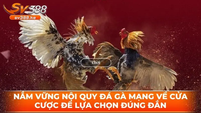 Nắm vững nội quy đá gà mạng về cửa cược để lựa chọn đúng đắn