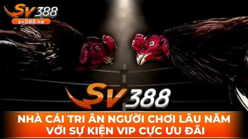 Nhà cái tri ân người chơi lâu năm với sự kiện vip cực ưu đãi