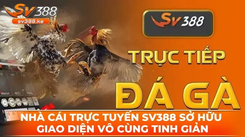 Nhà cái trực tuyến SV388 sở hữu giao diện vô cùng tinh giản