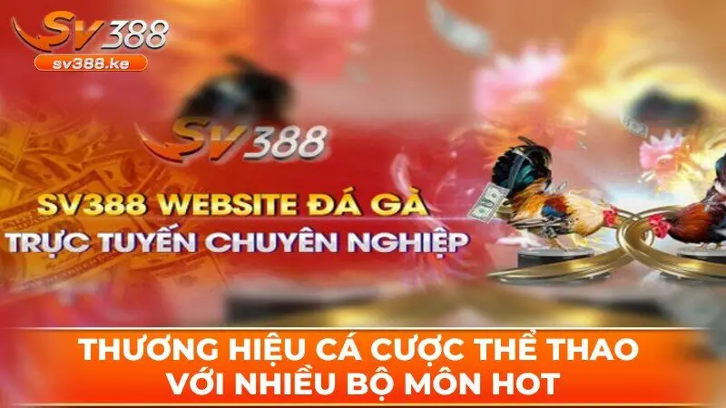 Thương hiệu cũng nổi bật với sảnh cá cược thể thao với nhiều bộ môn hot